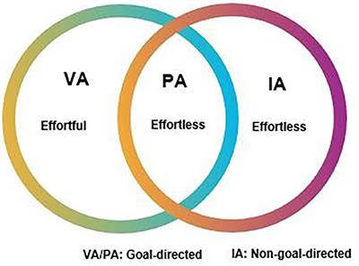 Fluid Attention in Education: Conceptual and Neurobiological Framework